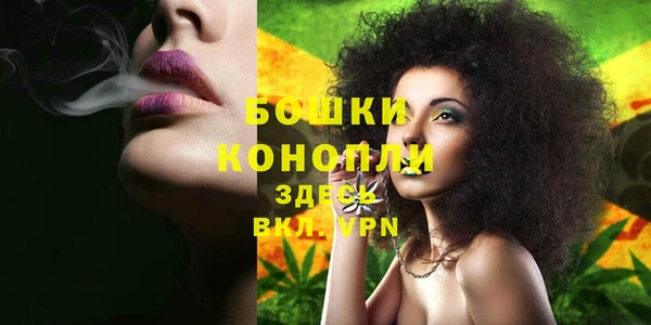 бошки Балахна